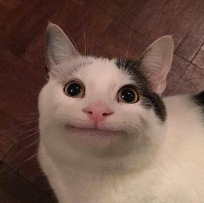 phoquemommy69's profile picture. !WARNING!I do NSFW!.🔞

21yo he/him🏳️‍🌈🏳️‍⚧️ femboy in the arts
If you're a minor !!!STAY AWAY!!!
If you don't like just block
also draw Sonic NSFW