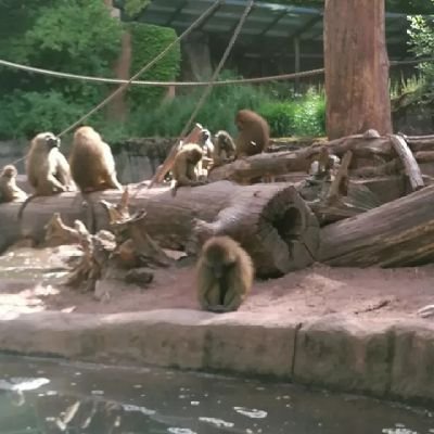 Ruffy1088640's profile picture. 