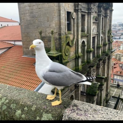 BJulieNguyen's profile picture.