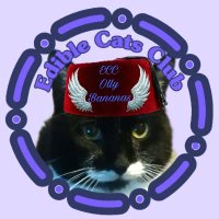 Olly the Cat, Monarch of The Moglets. RIP Maximus.(@AlanSla90124663) 's Twitter Profile Photo