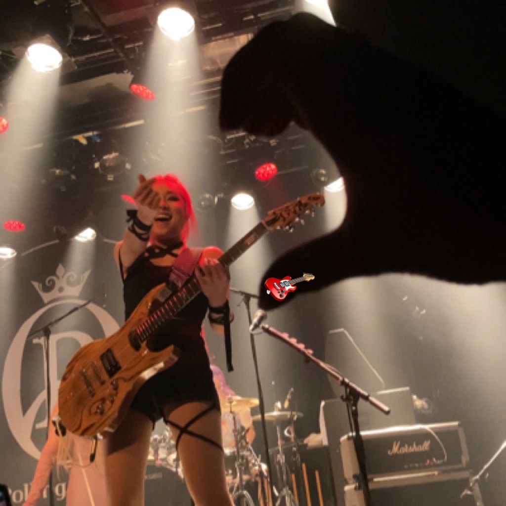 luvviree's profile picture. married with 8 cats