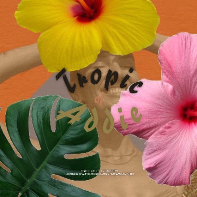 TofAddieRP's profile picture. © #TOFAddieRP is a brand with purpose, partnering with like-minded people to make a positive impact on the environment & beyond.