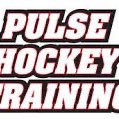hockey_pulse's profile picture. 