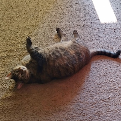 BenhamKyli46211's profile picture. 