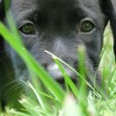 Lori Wise - @ljwise - Twitter