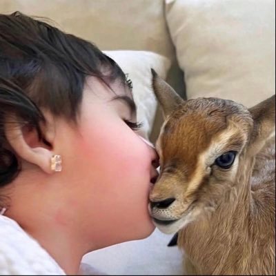 alshmry66935's profile picture. 