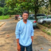 Victor Oluwawemimo Onuoha (@freshvic1) 's Twitter Profile