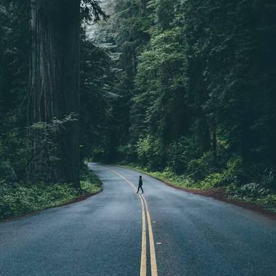 ashukumar2516's profile picture. 