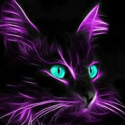 PurpleCat