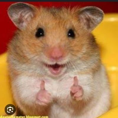 AndrezaKathell3's profile picture. 