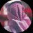 shm66's profile image
