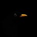 DeNiz · (@asllydn) Twitter profile photo DeNiz · (@asllydn) Twitter profile photo