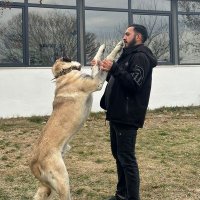 Ulaş (@ulas21karatas) Twitter profile photo