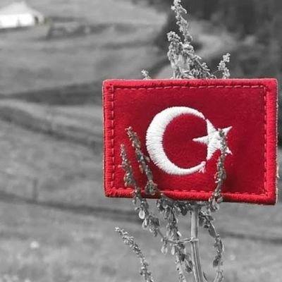Onuncukoydense1's profile picture. Dokuz köyden kovulan bozkurt 🐺🇹🇷🇹🇷