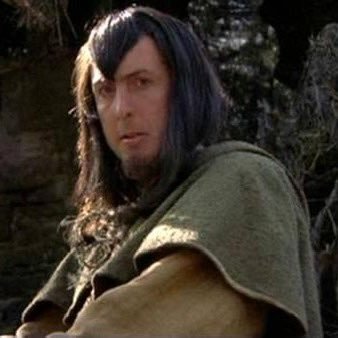 Yes, shrubberies are my trade. I am a shrubber. My name is Roger the Shrubber. I arrange, design, and sell shrubberies.