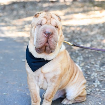 MikeJDollar123's profile picture. 