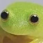 M / 2X, Pro gamer, (Chinese/Can-Murican) Autistic dude with small doodle talent, (Minors under 16, DNI pls)