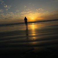 Marlin Jarquin (@mar_j30) 's Twitter Profile