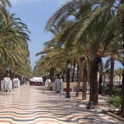 DejanMaroj14345's profile picture. 