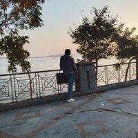 نہ نوری نہ ناری (@sleeposleep) 's Twitter Profile