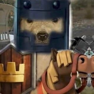 Salv_fetuni789's profile picture. charlie mi vieja