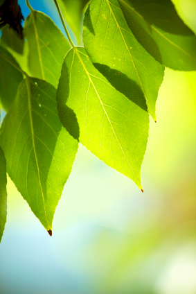 Devoworld's profile picture. Books that inform, inspire and encourage.