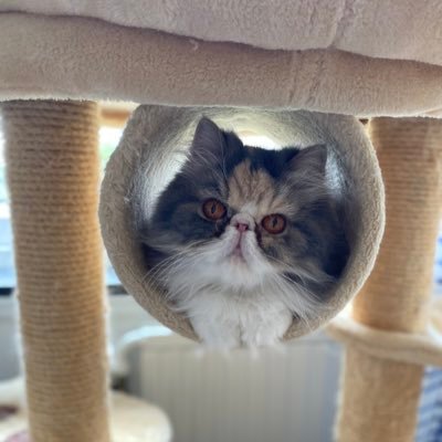 wealthcoach_kat's profile picture. 