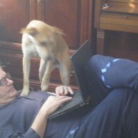 AmericanAnswers.org & Facebook Jim/James mE.R.oney (@jamesmeroney2) 's Twitter Profile