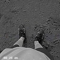 wiicked🔻 (@daniel4x0) 's Twitter Profile