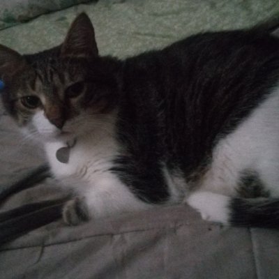 Hunsun1Lou's profile picture. 