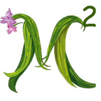 Monique Moree (@monique_moree) 's Twitter Profile