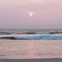 Libbie Schimmel (@lschimmel8123) 's Twitter Profile