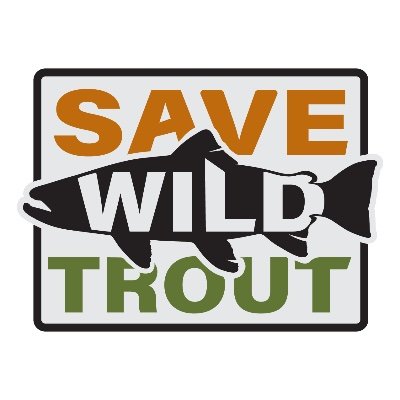 The time to act is now. Wild trout populations are in decline. It’s an all-hands-on-deck moment for our cold water fisheries.