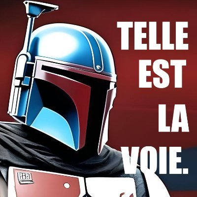 Mandalorian Insoumis, Telle est la voie...