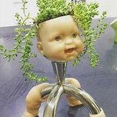 Yomamascondummm's profile picture. 