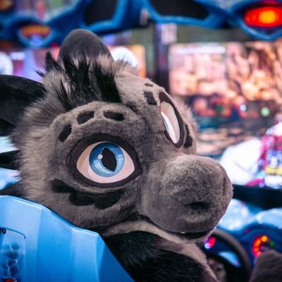 I'm a furry and a maker. My hobbies include Scuba, Camping, Ham radio, Making, fursuiting, and collecting old electronics.

📸 @Shaeliseroth