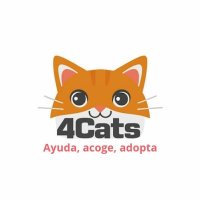 4cats (@4catsvlc) 's Twitter Profile Photo 4cats (@4catsvlc) 's Twitter Profile Photo