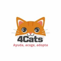 4cats(@4catsVLC) 's Twitter Profile Photo