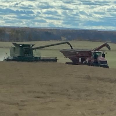 Living the dream in northern Alberta. Plants are actually farming us. They feed us oxygen until we decompose and they consume us.