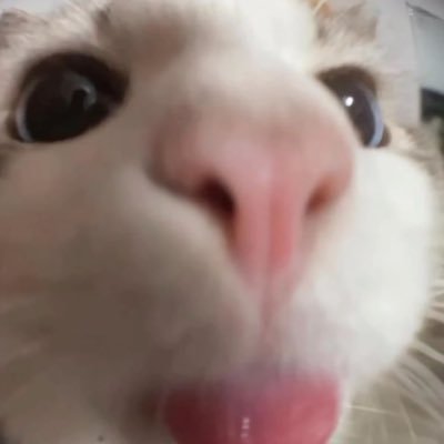 g0000st's profile picture. 高卒 20↑ ROM