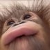 CrumbleDeCouillasse (@dahhr6) Twitter profile photo CrumbleDeCouillasse (@dahhr6) Twitter profile photo