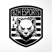 BZH Esports fan account (@supportbzh) 's Twitter Profile