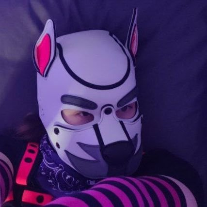 IRL Noods, Toy play, Chastity cages and Underwear pics ^~^
Good Puppy 🐶
18+ minors will get blocked🔞
Please have you age in you're bio🙏
Ad of @Sol_Fox_OwO