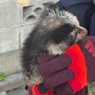 022h6UrzAE7EXMs's profile picture. 