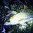 rikut0525127247's profile image