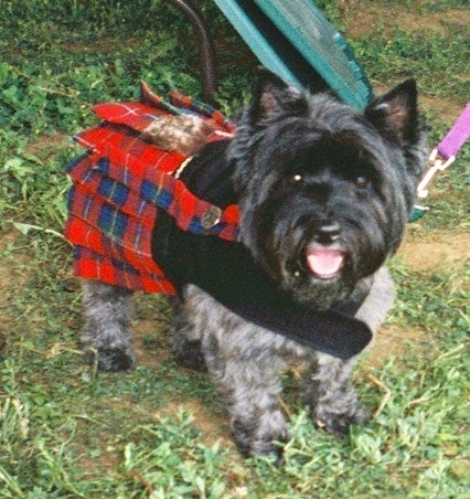 monikarest's profile picture. 