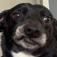 gabi (@nygblnd) 's Twitter Profile
