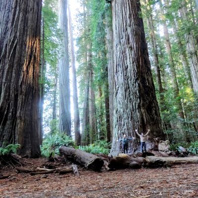 ktshipthief's profile picture. soon enough, work and love will make a man out of you