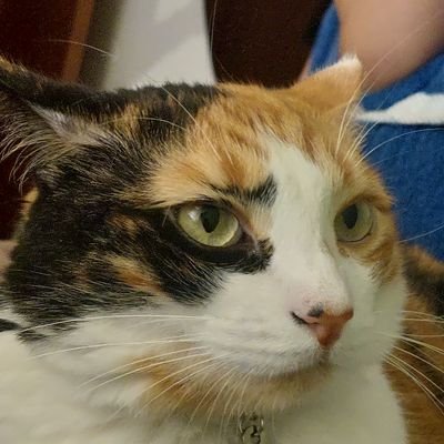 gabibarqueta's profile picture. Kim, there's people that are dying!