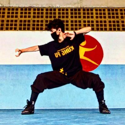 🇧🇷🇨🇳
23y
gearhead
kung Fu
wushu 
sanda
archer 
bmx
skt
and photographer